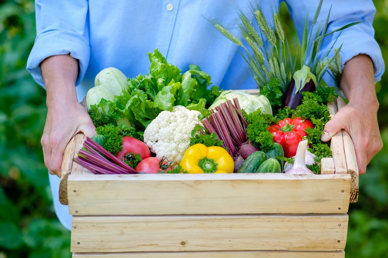 Lees meer over het artikel Nultarief groente en fruit per 1 januari 2024