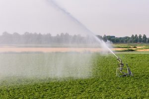 Lees meer over het artikel Nieuwe pachtnormen per 1 juli 2024